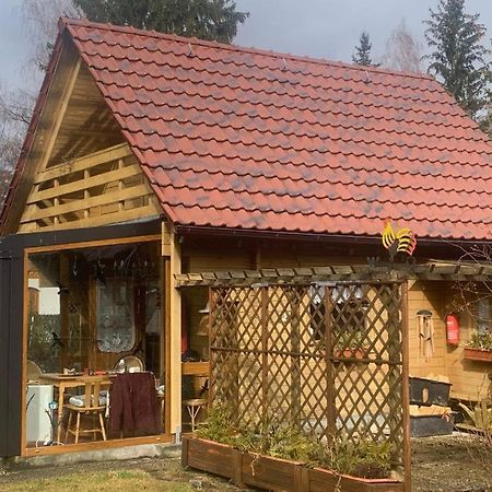 Holzhaus Mit Direktem Wasserzugang In Berlin-Koepenick מראה חיצוני תמונה